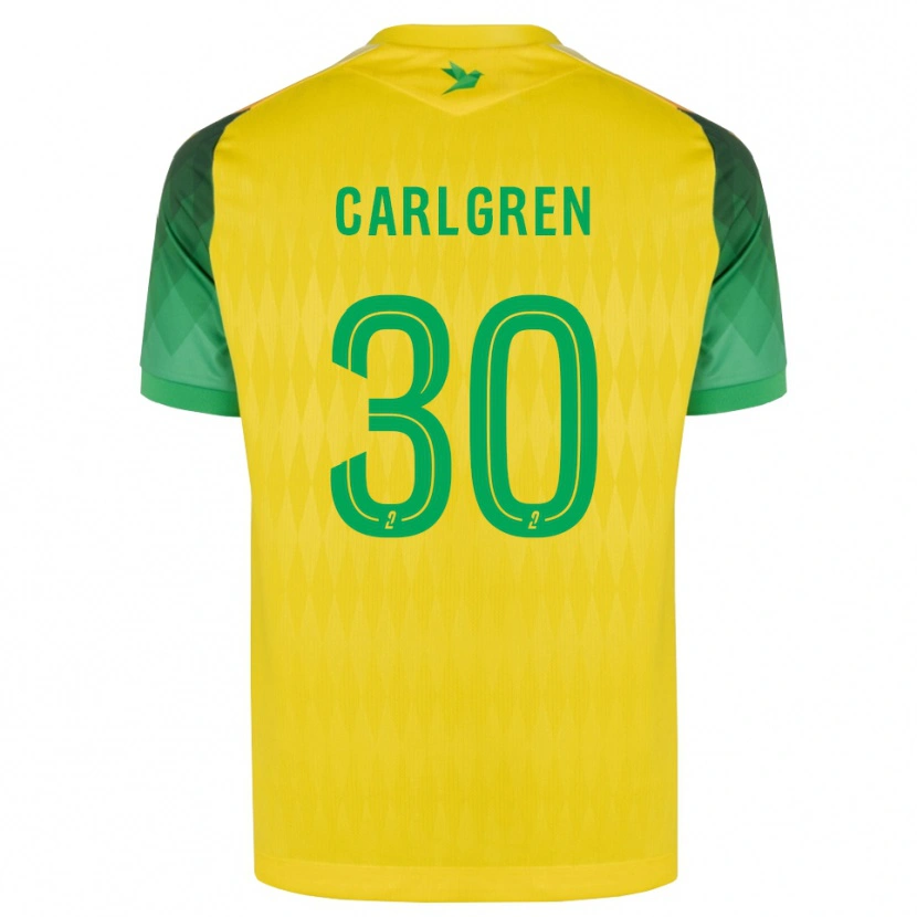 Danxen Homem Camisola Patrik Carlgren #30 Amarelo Verde Vermelho Principal 2026/27 Camisa Brasil