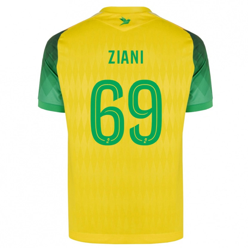 Danxen Homem Camisola Sacha Ziani #69 Amarelo Verde Vermelho Principal 2026/27 Camisa Brasil