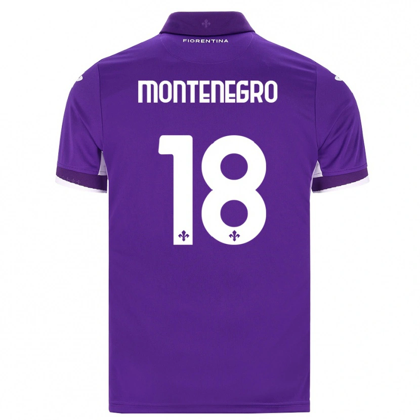 Danxen Homem Camisola Luca Montenegro #18 Roxo Branco Rosa Principal 2026/27 Camisa Brasil