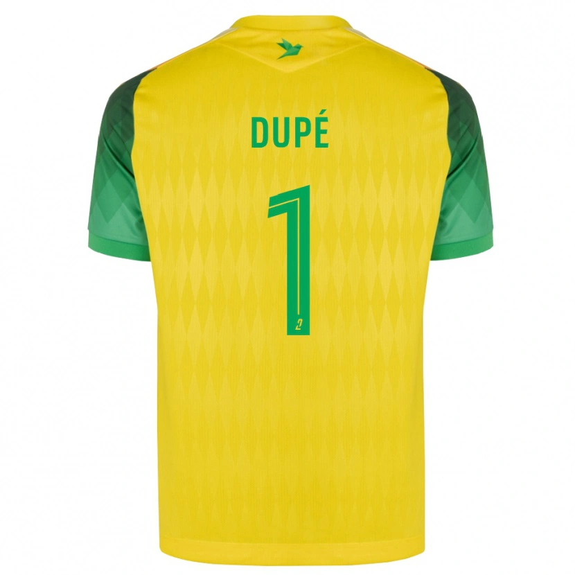 Danxen Mulher Camisola Maxime Dupé #1 Amarelo Verde Vermelho Principal 2026/27 Camisa Brasil