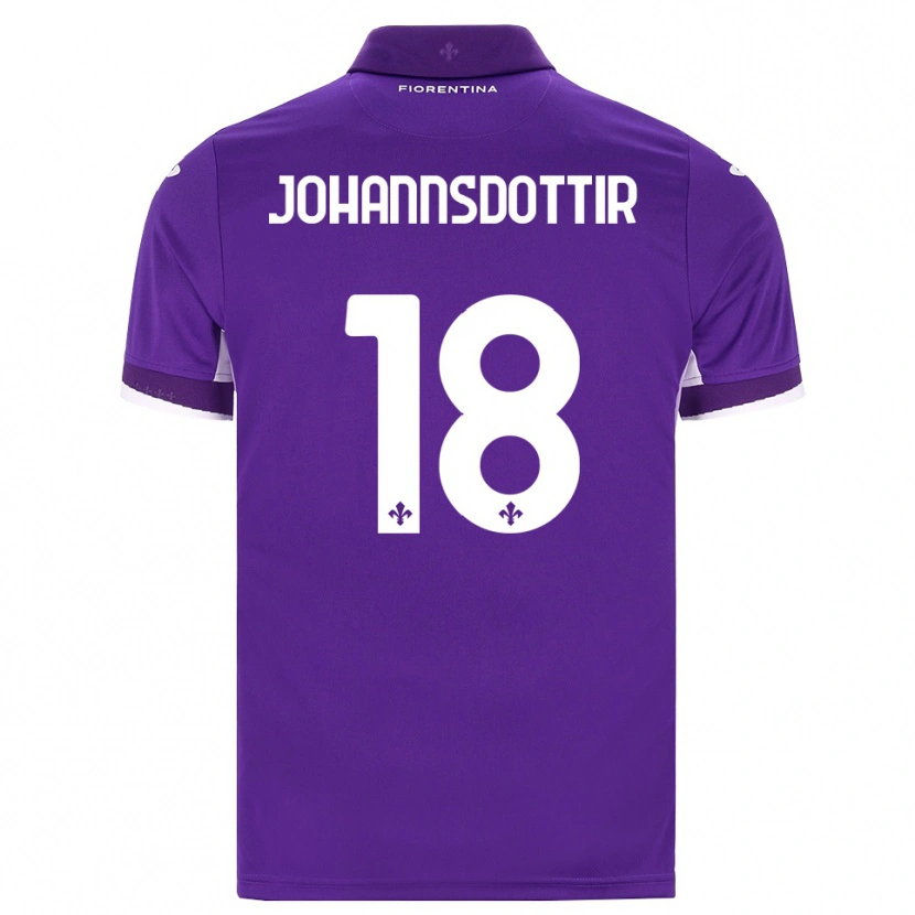Danxen Mulher Camisola Alexandra Johannsdottir #18 Roxo Branco Rosa Principal 2026/27 Camisa Brasil