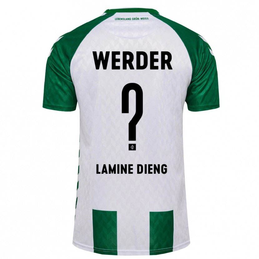 Danxen Criança Camisola Mamadou Lamine Dieng #0 Verde Branco Principal 2026/27 Camisa Brasil