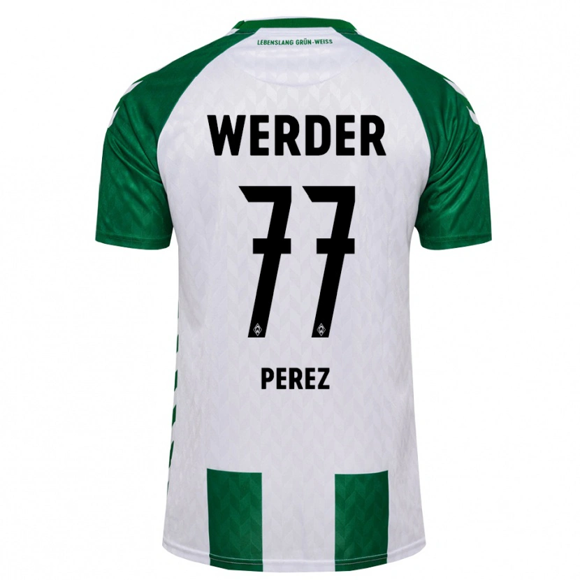 Danxen Criança Camisola Catalina Pérez Jaramillo #77 Verde Branco Principal 2026/27 Camisa Brasil