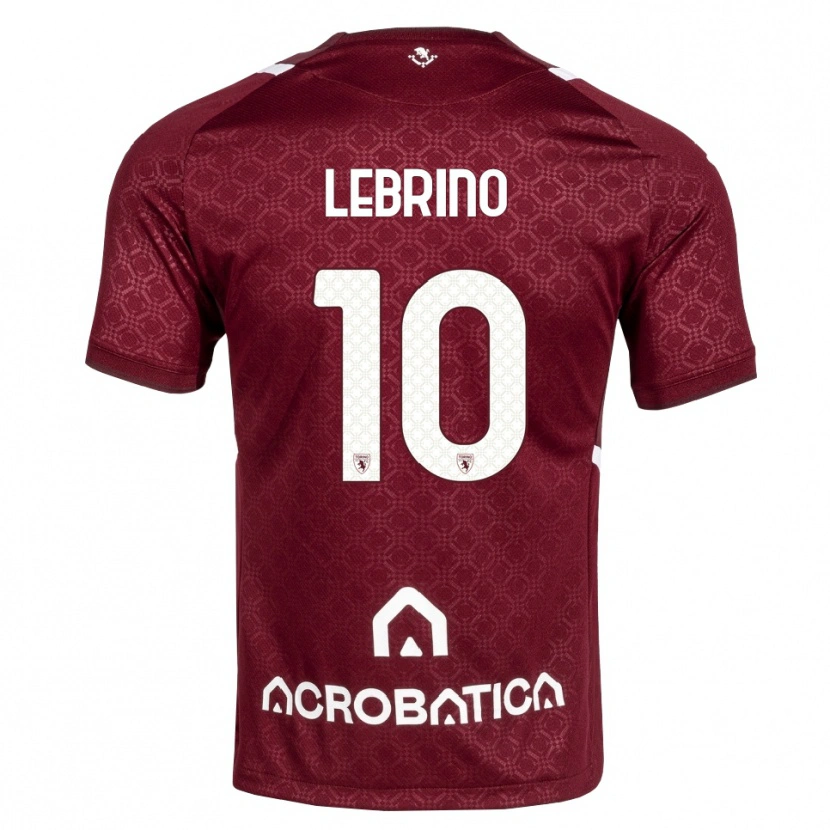 Danxen Homem Camisola Danilo Lebrino #10 Bordô Branco Principal 2026/27 Camisa Brasil