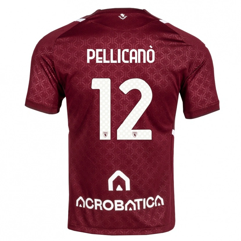Danxen Homem Camisola Pasquale Pellicanò #12 Bordô Branco Principal 2026/27 Camisa Brasil