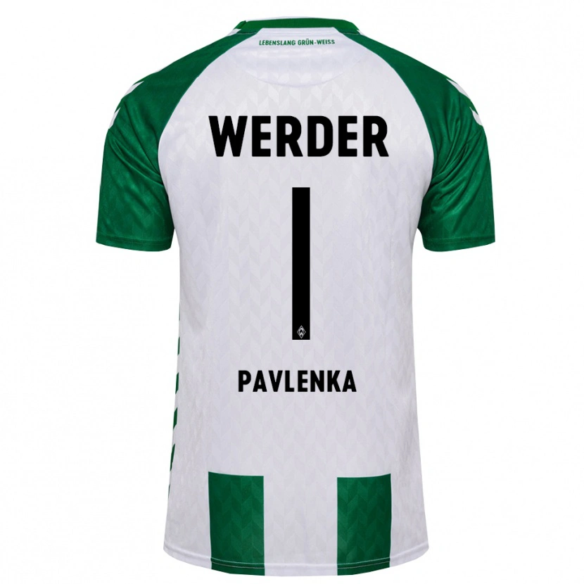 Danxen Homem Camisola Jiri Pavlenka #1 Verde Branco Principal 2026/27 Camisa Brasil