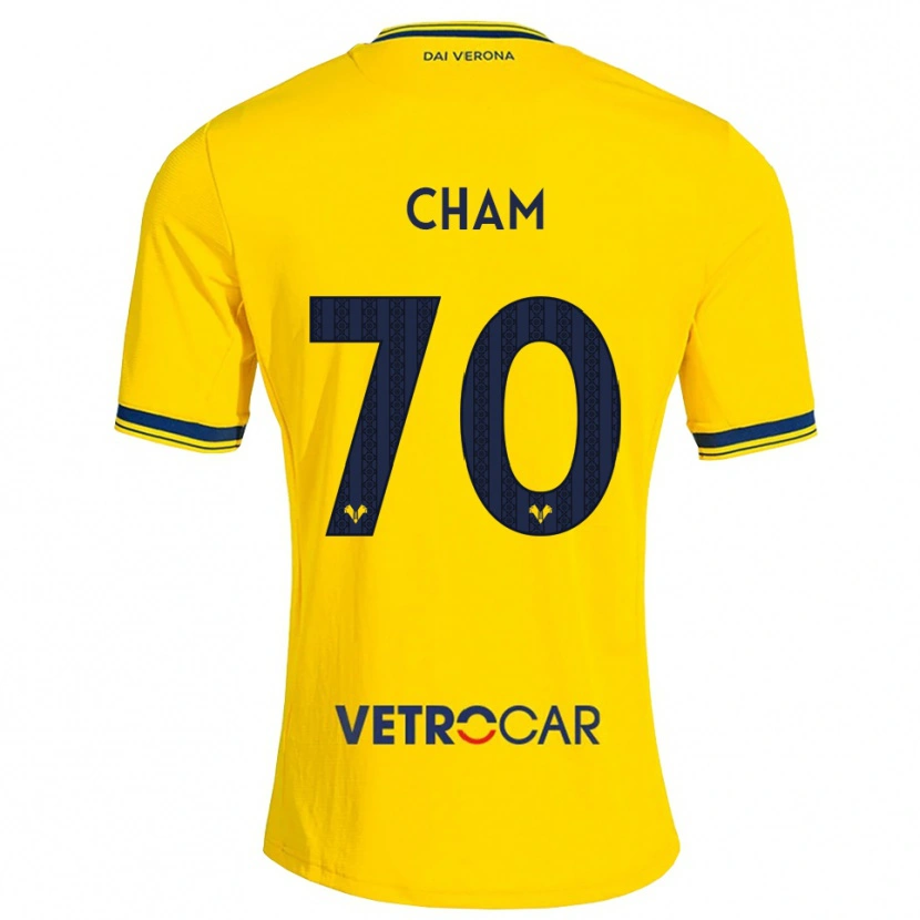 Danxen Homem Camisola Fallou Cham #70 Amarelo Vermelho Alternativa 2026/27 Camisa Brasil