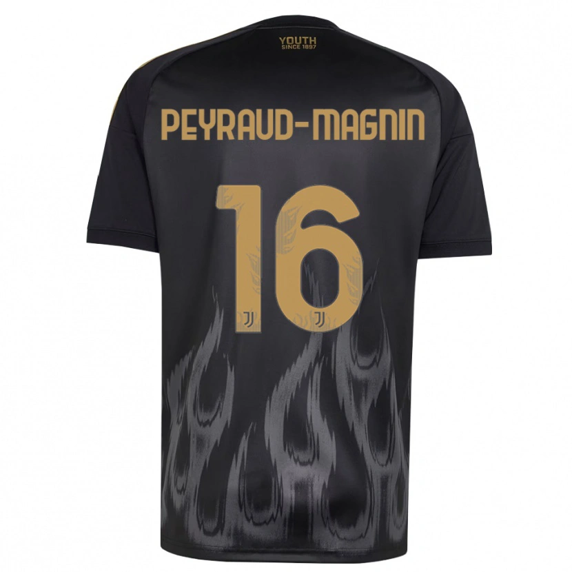 Danxen Mulher Camisola Pauline Peyraud-Magnin #16 Preto Marrom Terceiro 2026/27 Camisa Brasil