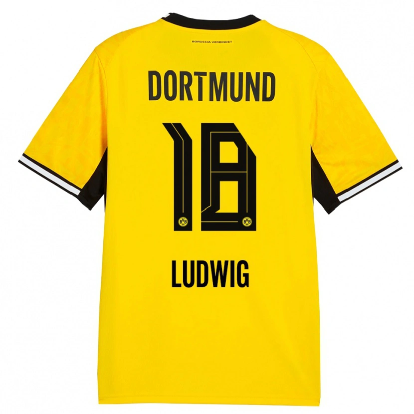 Danxen Criança Camisola Michel Ludwig #18 Amarelo Preto Branco Principal 2026/27 Camisa Brasil
