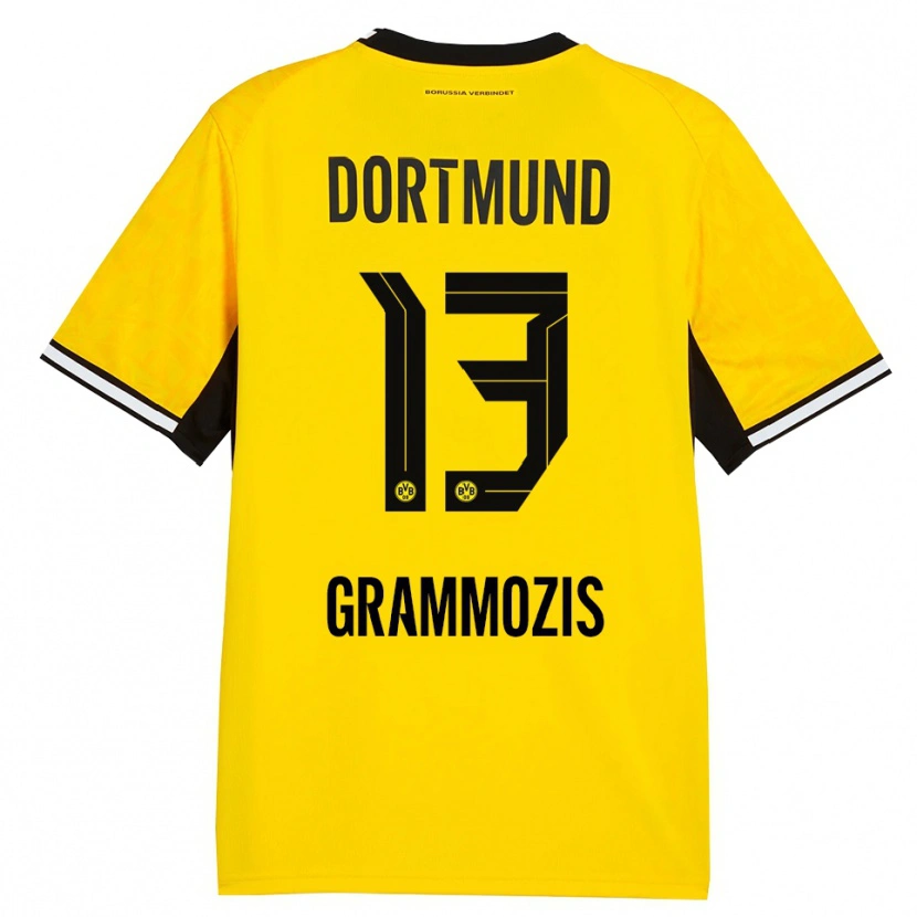 Danxen Homem Camisola Athanasios Grammozis #13 Amarelo Preto Branco Principal 2026/27 Camisa Brasil