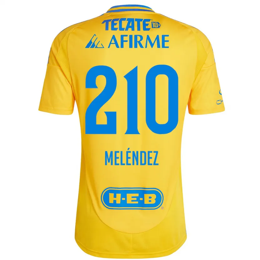 Danxen Mulher Camisola Marcelo Meléndez #210 Ouro Amarelo Principal 2024/25 Camisa Brasil